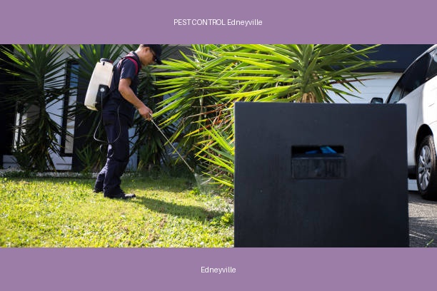 PEST CONTROL Edneyville